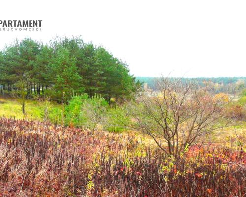 OFERTA TYLKO DLA KONESERA, PRESTIŻ  w mieście!