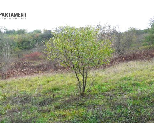 OFERTA TYLKO DLA KONESERA, PRESTIŻ  w mieście!