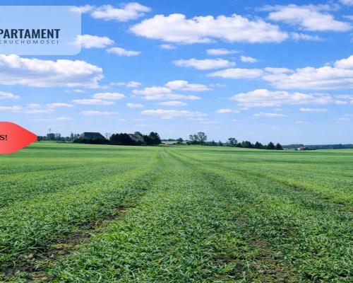 Osetno. 9 działek budowlanych blisko jeziora i las