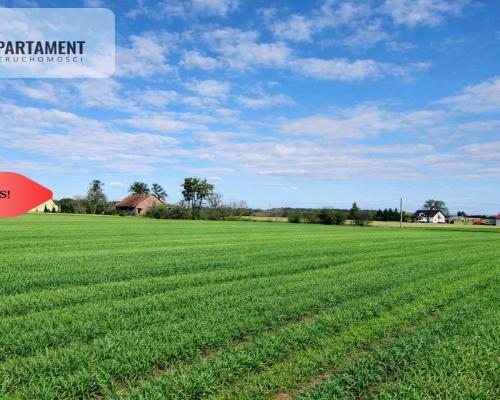 Osetno. 9 działek budowlanych blisko jeziora i las