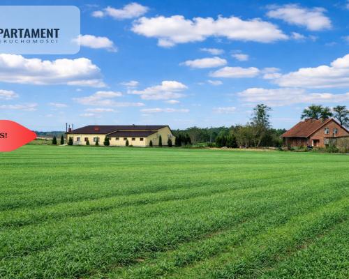 Osetno. 9 działek budowlanych blisko jeziora i las