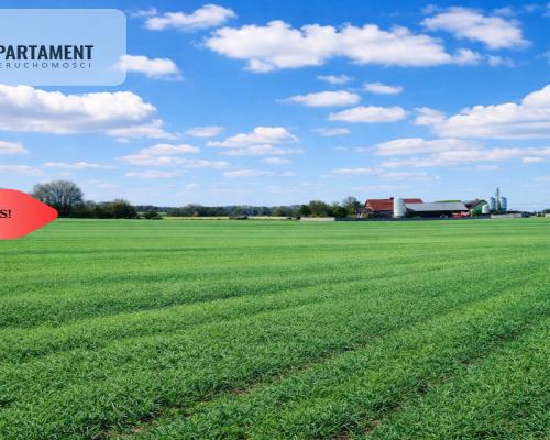 Osetno. 9 działek budowlanych blisko jeziora i las