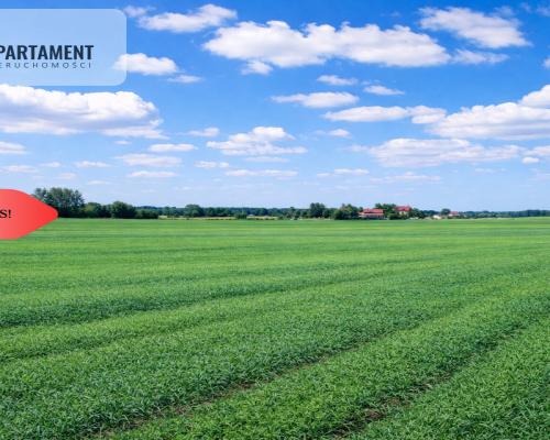 Osetno. 9 działek budowlanych blisko jeziora i las