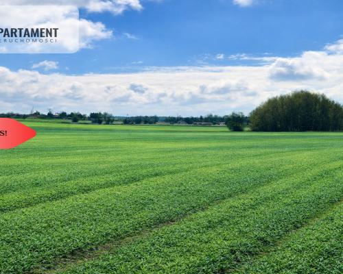 Osetno. 9 działek budowlanych blisko jeziora i las