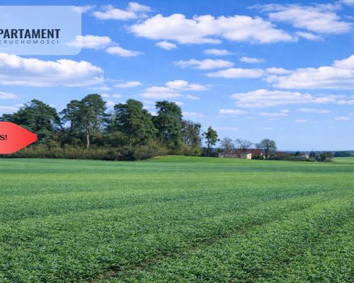 Osetno. 9 działek budowlanych blisko jeziora i las