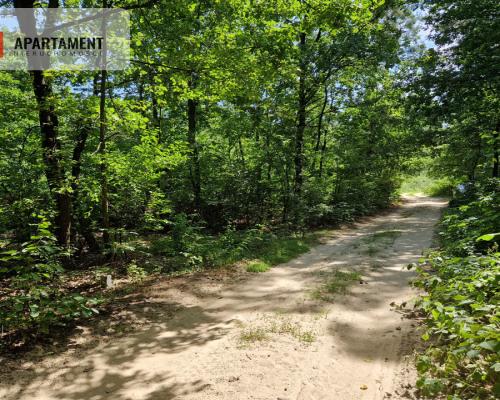 Działki w lesie blisko jeziora i plaży