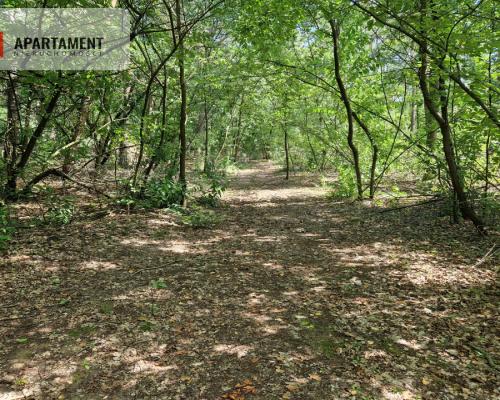 Działki w lesie blisko jeziora i plaży
