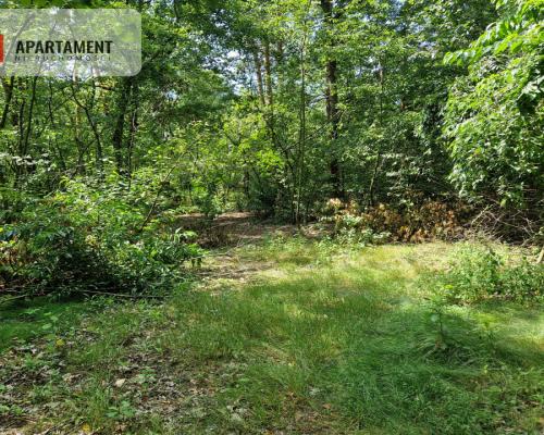 Działki w lesie blisko jeziora i plaży