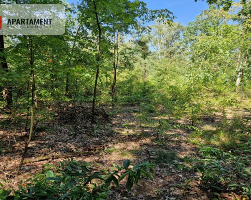 Działki w lesie blisko jeziora i plaży