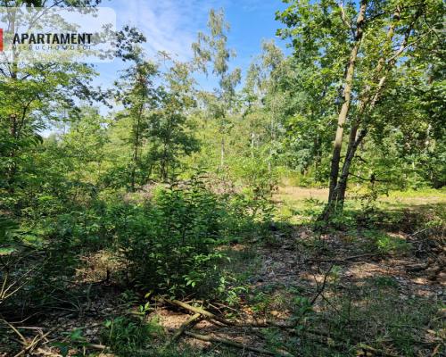 Działki w lesie blisko jeziora i plaży