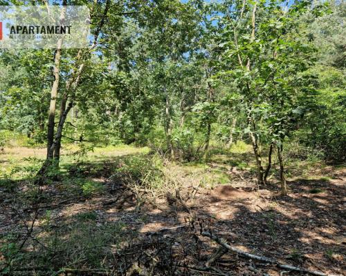 Działki w lesie blisko jeziora i plaży