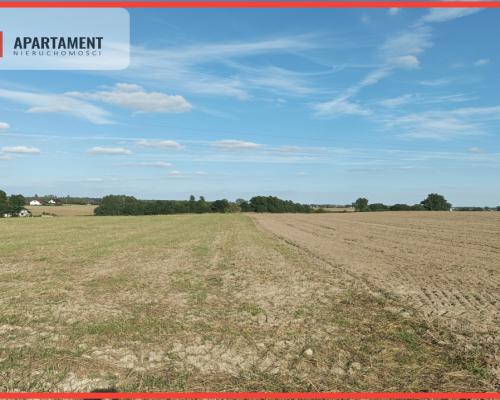 Działki w Kopczynie