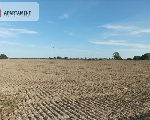 Działki w Kopczynie