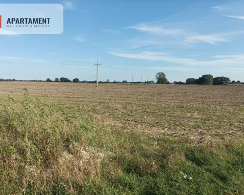 Działki w Kopczynie