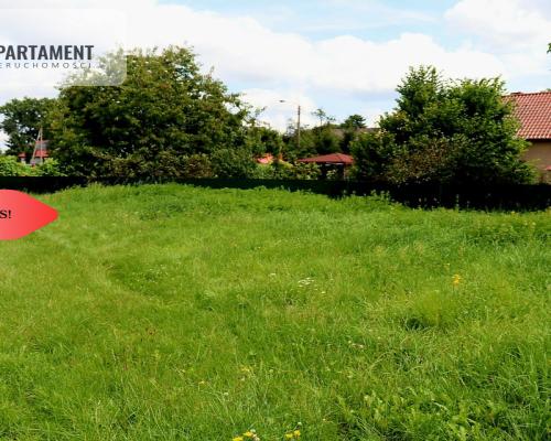 Dom do  remontu na działce 18a blisko lasu!