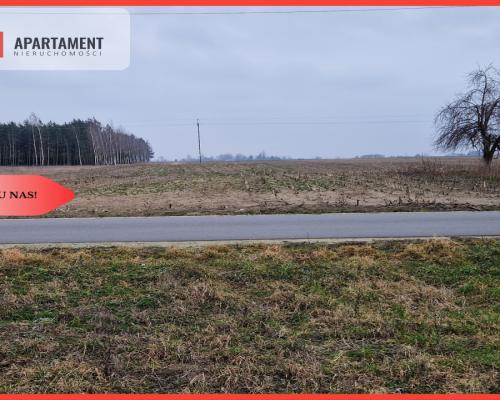 Działka budowlana blisko dużego lasu