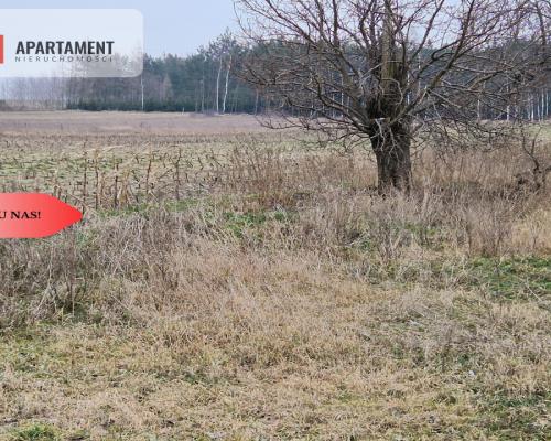 Działka budowlana blisko dużego lasu