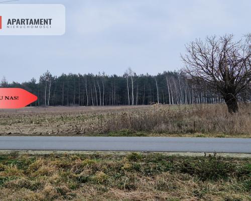 Działka budowlana blisko dużego lasu