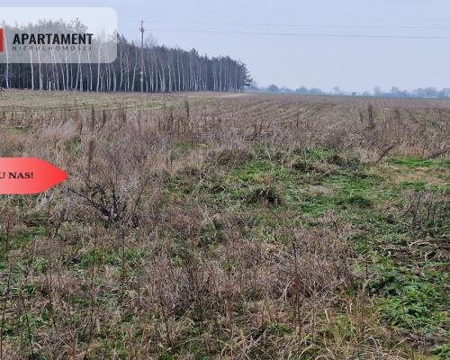 Działka budowlana blisko dużego lasu