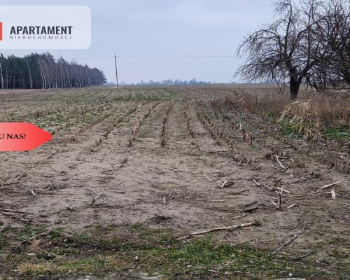 Działka budowlana blisko dużego lasu