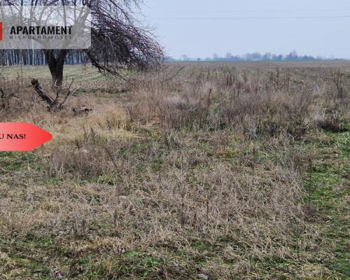 Działka budowlana blisko dużego lasu