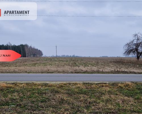 Działka budowlana blisko dużego lasu