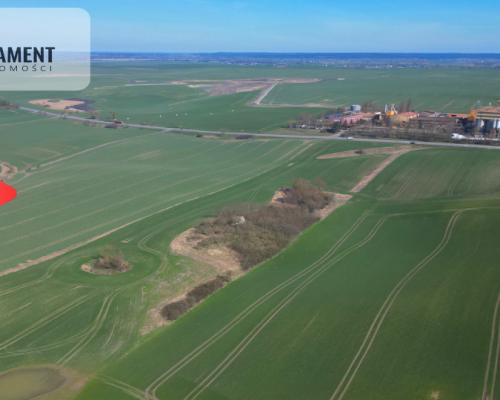 siedlisko koło Gniewu, nowa cena