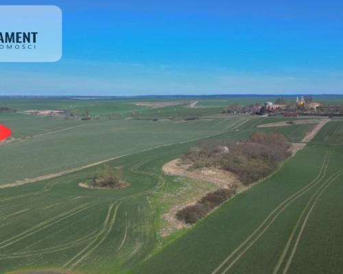 siedlisko koło Gniewu, nowa cena