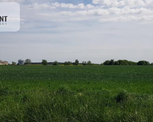 Działka - możliwość podziału! Bory Tucholskie!