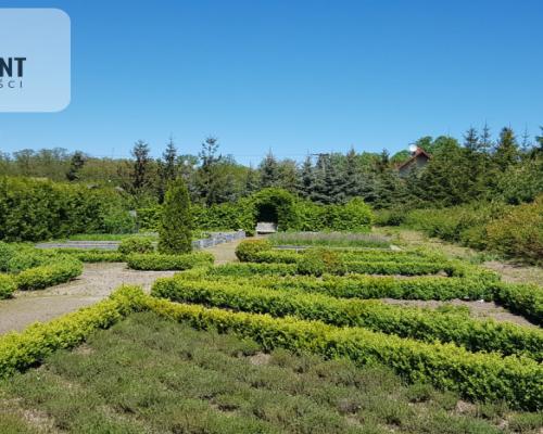 Działka - możliwość podziału! Bory Tucholskie!