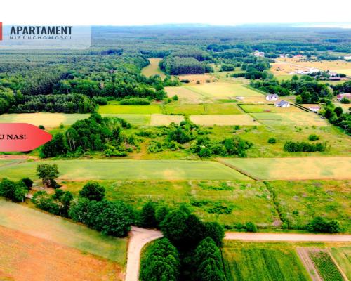 Dla Dewelopera! Działka przy lesie k Trzebnicy!