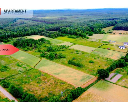 Dla Dewelopera! Działka przy lesie k Trzebnicy!