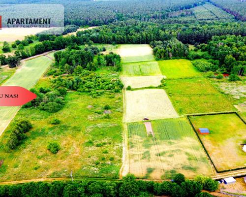 Dla Dewelopera! Działka przy lesie k Trzebnicy!