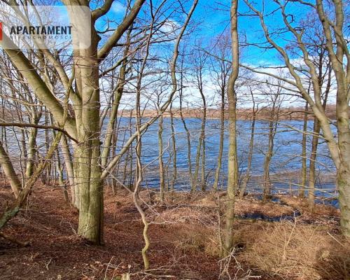 Działka budowlana z widokiem na jezioro