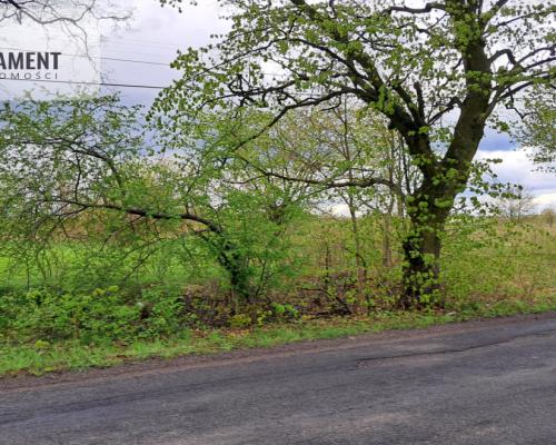 Unikalna Działka Budowlana w Skarszewach