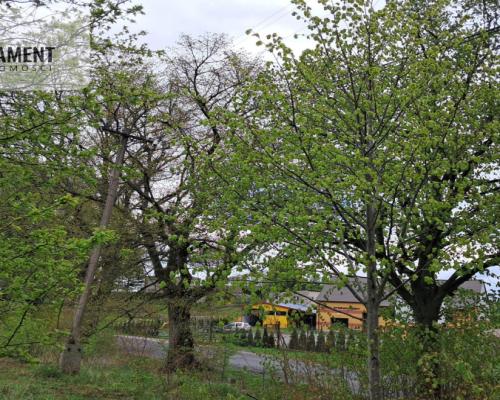 Unikalna Działka Budowlana w Skarszewach