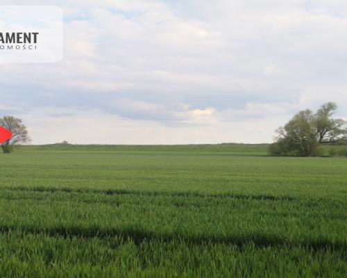 Uzbrojona działka 1680 mkw. Bory Tucholskie