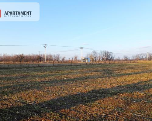 Duża działka budowlana na wsi.