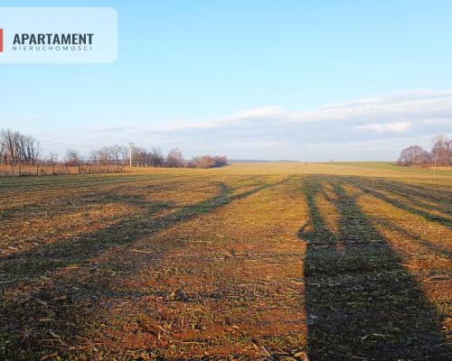 Duża działka budowlana na wsi.