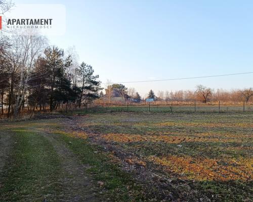 Duża działka budowlana na wsi.