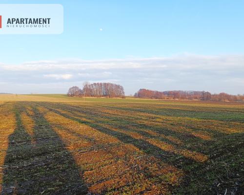 Duża działka budowlana na wsi.