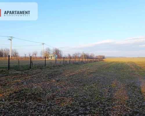 Duża działka budowlana na wsi.