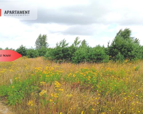 Stronno 1002 m2 w spokojnej cichej okolicy