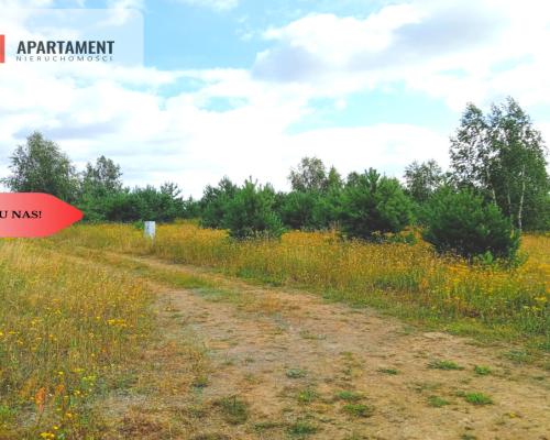 Stronno 1002 m2 w spokojnej cichej okolicy