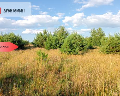 Stronno 1002 m2 w spokojnej cichej okolicy