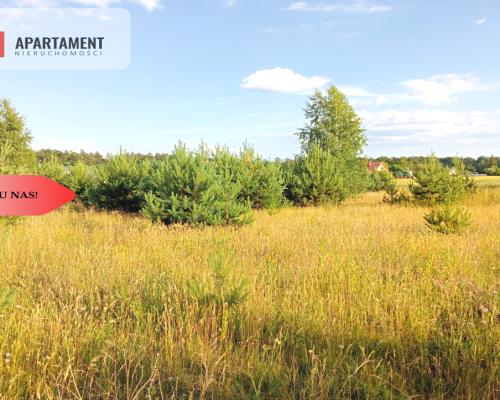 Stronno 1002 m2 w spokojnej cichej okolicy