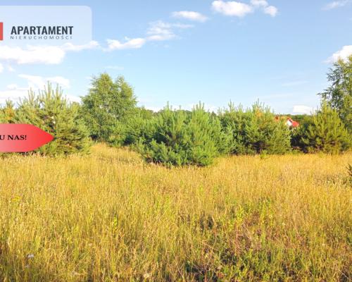 Stronno 1002 m2 w spokojnej cichej okolicy