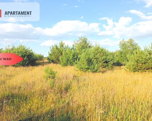 Stronno 1002 m2 w spokojnej cichej okolicy