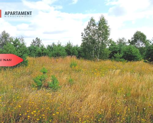 Stronno 1002 m2 w spokojnej cichej okolicy