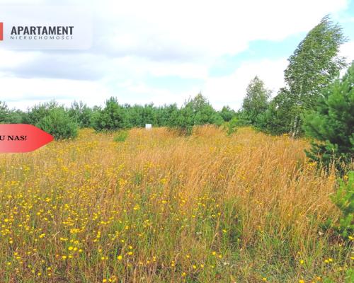 Stronno 1002 m2 w spokojnej cichej okolicy